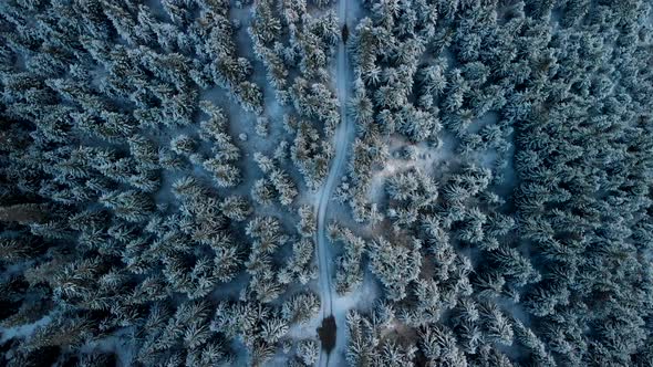 Drone Flying Along Mountain Road in Winter Forest