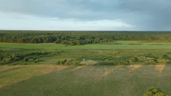 Rural Landscape. Green Forests And Fields. Aerial Photography.