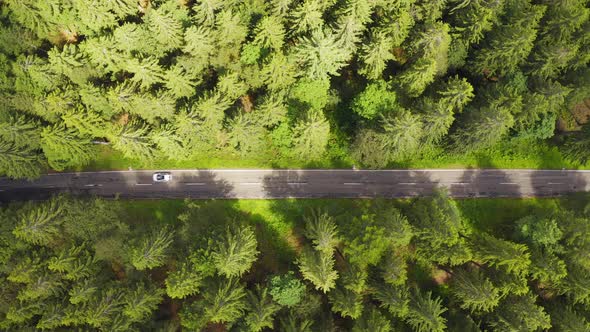 Top Down Aerial View Flying Over Forest Road with Car alt