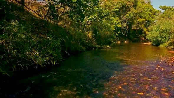 Slow drone shot flying low over a small river alt