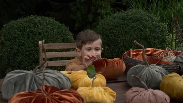 Little kid boy sits at table with a lot of handmade fabric pumpkins in garden