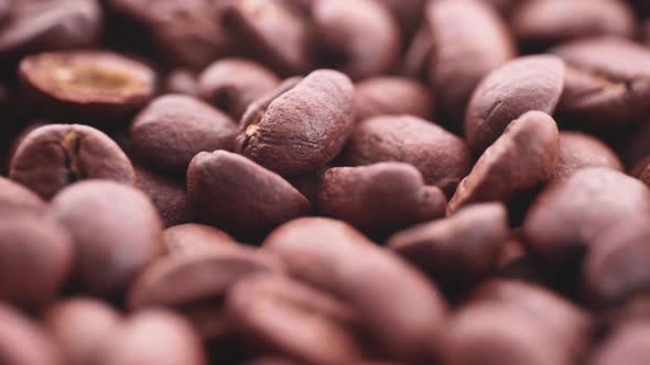 Coffee beans and cup in the making of a cup of coffee 15 alt