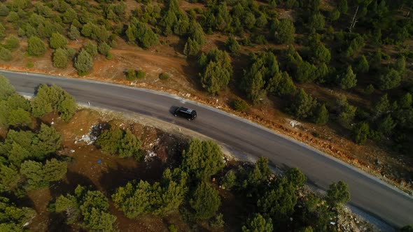 Car On Road With Trees alt