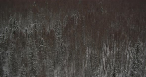 Aerial helicopter wide shot, pan from dark Alaskan mountain peaks to see distant lights at night, ti alt