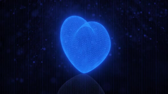 3d holographic digital heart