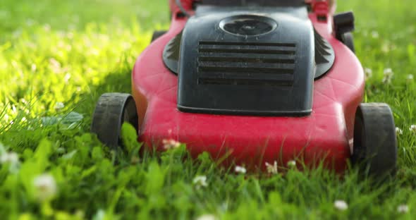 Close up of Lawnmower mows the lawn at home garden, working alt