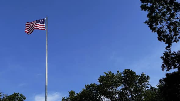 USA Flag and Park Trees