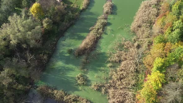 Aerial View Swampy Green Pond alt
