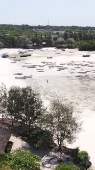 Vertical Video of Low Tide in the Ocean Near the Coast of Zanzibar Tanzania alt