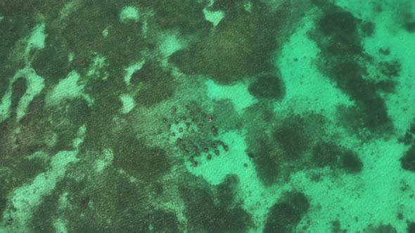 Tropical Coral Reef Aerial View