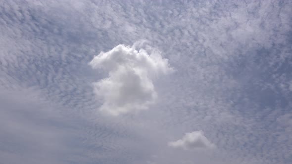 White dreamy clouds move across a blue sky.