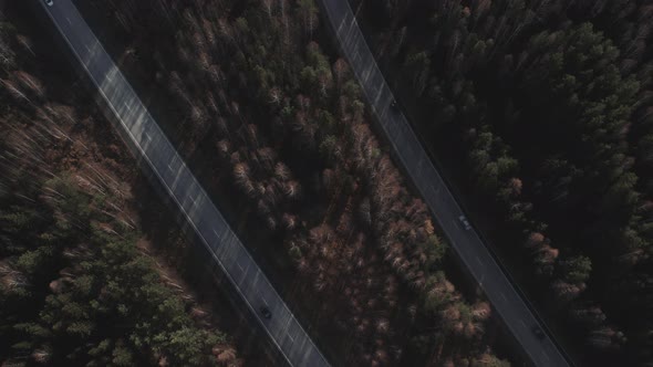 Multiple lane highway road with traffic cars between autumn forest