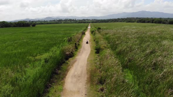 Dominican Republic a Man is Driving an ATV on a Dusty Road Between Tall Grass alt