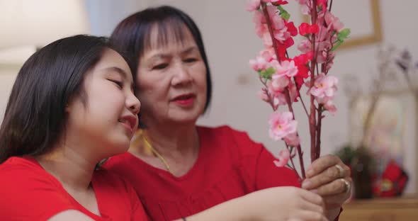 Asian Senior Woman And Niece Decorate House For Chinese New Year Celebrations With Flowers. alt