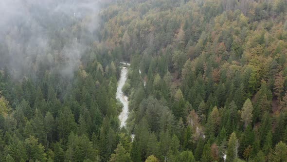Aerial view of Fast Moving River with Rapids Surrounded by Forest