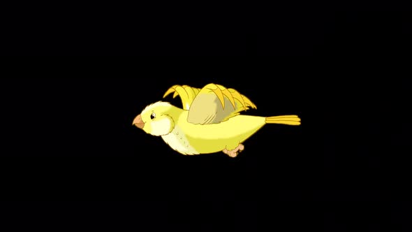 Flying yellow canary alpha matte 4K