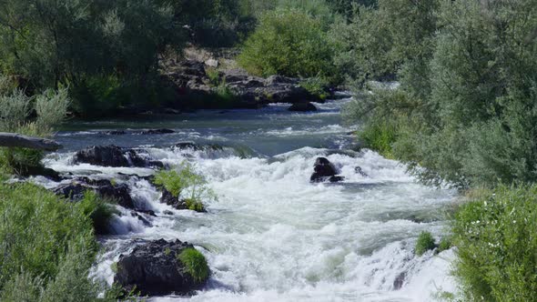 Scenic shot of white water rapids, Rouge River, Oregon, USA alt