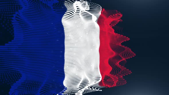 France Particle Flag