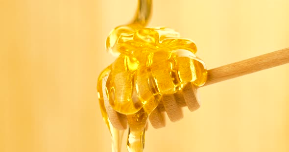 Liquid Organic Honey Dripping on a Honey Dipper from Above on a Light Background alt