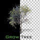 Growing Tree Animation - VideoHive Item for Sale
