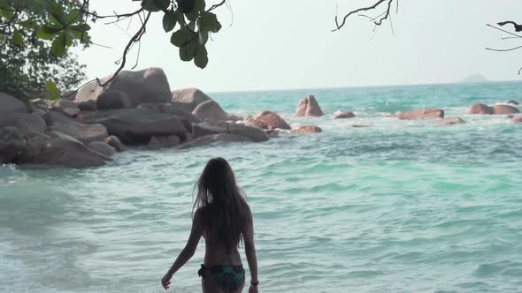 Cute Young Girl Walks Along the Rocky Shore of an Exotic Island alt