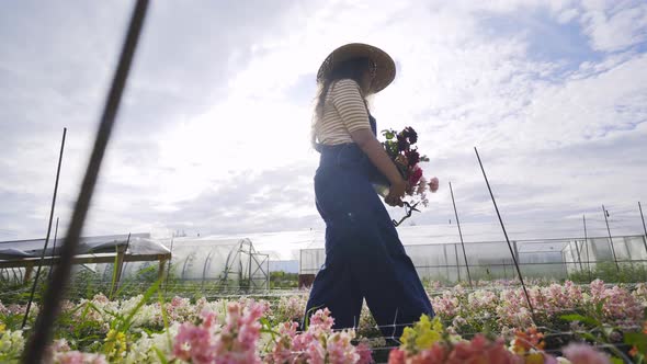 Woman in Hat with Fresh Flowers Walks Along Blooming Field