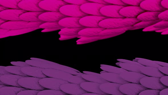 Colorful exotic snakeskin texture flowing on black background alt