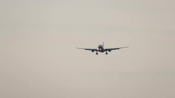 Long Shot Airliner in the Sky alt