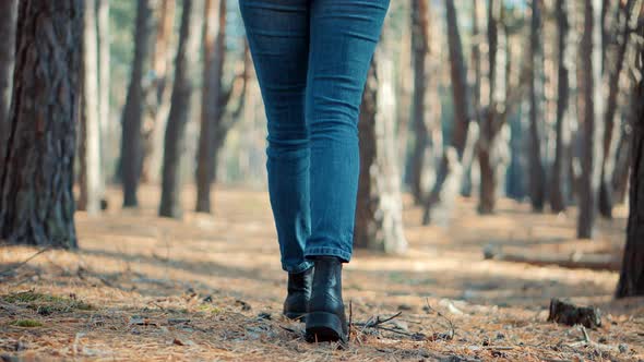 Woman In Leather Shoes In Fall Pine Forest. Girl Legs Walking In Winter Greenwood. Forest In Autumn. alt