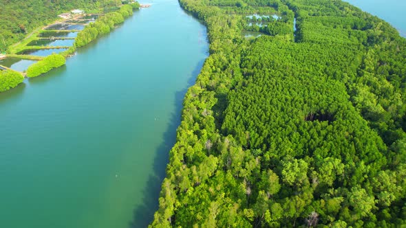 An island-shaped mangrove forest in the middle of a river mouth near the sea. alt