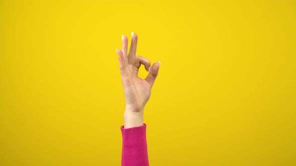 Female Hand Shows the Sign Ok. Studio Photography on an Isolated Yellow Background alt