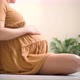 A Cute Pregnant Woman Sits in Bed - VideoHive Item for Sale