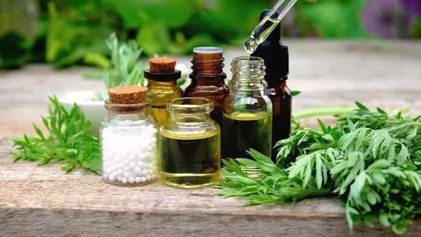 Wormwood Extract in a Small Bottle alt