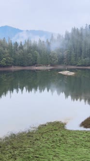 Vertical Video Mountain Lake Synevyr alt