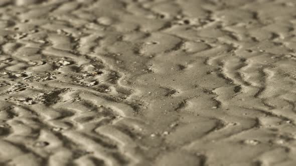 Lines in the Sand of a Beach alt