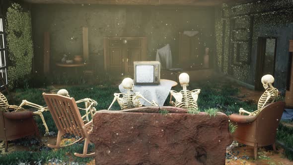The Skeletons Watching TV