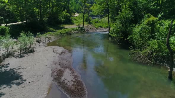 Stream flowing through the trees in the forest. alt