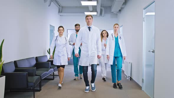 Big Team of Doctors and Nurses Multiethnic in the alt