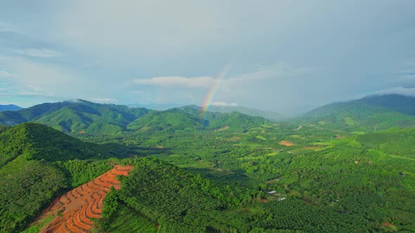 Drones are flying over tropical forests and large farmland alt