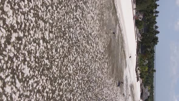 Zanzibar Tanzania  Vertical Video of Low Tide in the Ocean Near the Coast Slow Motion alt