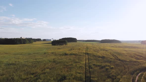 Takeoff Over Rapeseed Agricultural Field with Even Furrows Aerial Plan alt