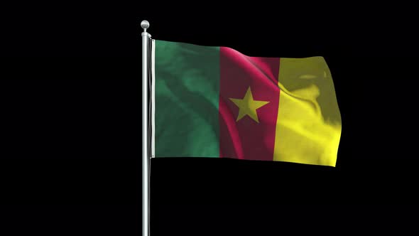 Cameroon Flag Big