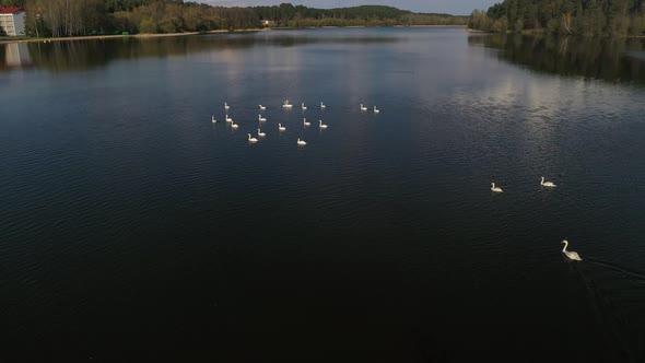 Flight Over Swan Lake alt