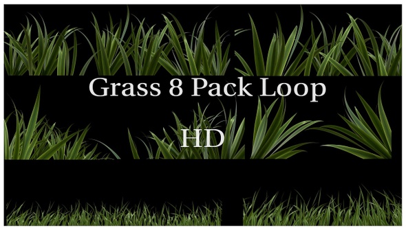 Realistic Grass Loop HD