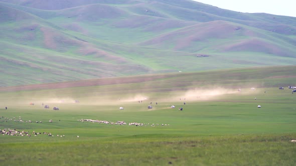 Long Distance Real Horse Racing in the Nature alt