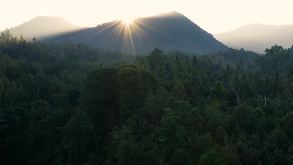 Moving Over Rainforest Towards a Mountain at Sunrise