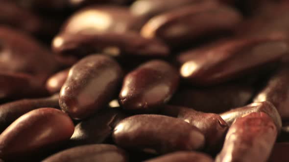 Red beans studio tracking shot