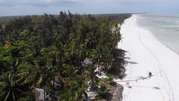 Ocean Coastline with Paradise Beach Hotels and Palm Trees Zanzibar Aerial View alt