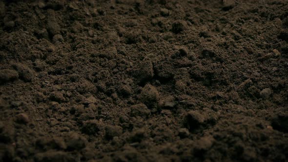 Soil Ground Closeup Moving Shot alt