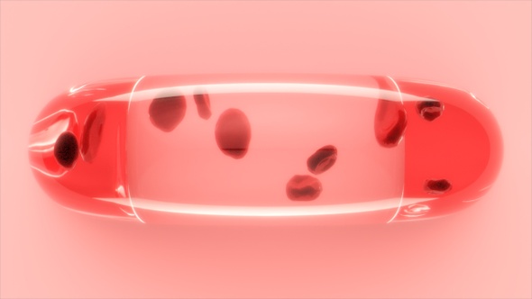 Blood Cells In Vitro